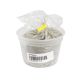 Dead Sea Clay - 1 Lb.